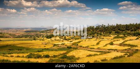 Ethiopia, Tigray, Axum (Aksum), Abalanicos, agricultural landscape below tombs of Kaleb an Gebre Meskel tombs, panoramic Stock Photo