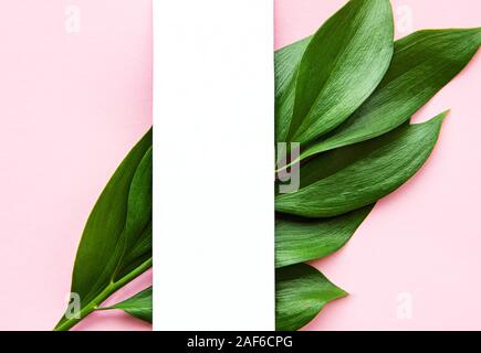 Tropical  leaves  on pink background. Flat lay, top view, copy space. Creative minimal background with tropical leaves. Stock Photo