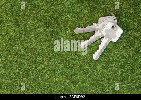Bunch of three keys on the green grass background Stock Photo