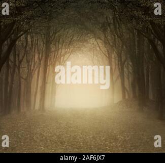 Enchanted nature series – Foggy forest golden background Stock Photo