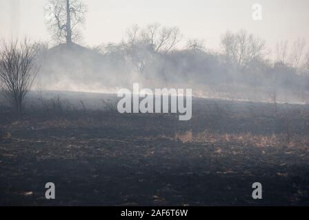 Burning field in the smoke, old dry grass on fire at spring, horizontal shot Stock Photo