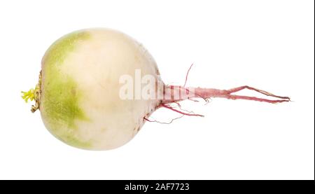 whole fresh watermelon radish isolated on white background Stock Photo