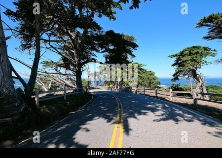 Paid Coastal Route 17-Mile Drive on the Monterey Peninsula between Carmel-by-the-Sea and Monterey, California, USA Stock Photo