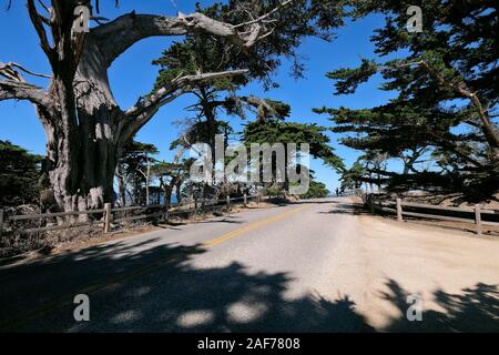 Paid Coastal Route 17-Mile Drive on the Monterey Peninsula between Carmel-by-the-Sea and Monterey, California, USA Stock Photo