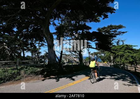 Cyclist on the paid Coastal Route 17-Mile Drive on the Monterey Peninsula between Carmel-by-the-Sea and Monterey, California, USA Stock Photo