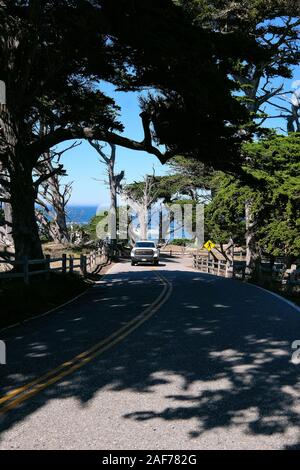 Paid Coastal Route 17-Mile Drive on the Monterey Peninsula between Carmel-by-the-Sea and Monterey, California, USA Stock Photo