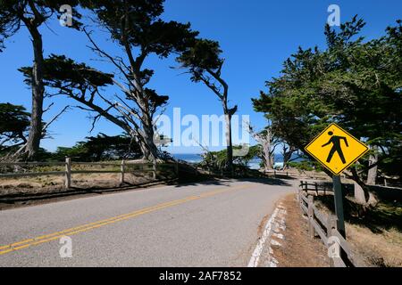 Paid Coastal Route 17-Mile Drive on the Monterey Peninsula between Carmel-by-the-Sea and Monterey, California, USA Stock Photo