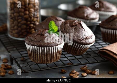 Coffee chocolate muffins for breakfast Stock Photo