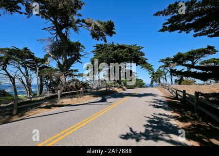 Paid Coastal Route 17-Mile Drive on the Monterey Peninsula between Carmel-by-the-Sea and Monterey, California, USA Stock Photo