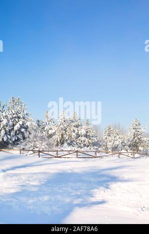 Christmas or New Year winter panorama with snow forest pine trees and wooden fence Stock Photo
