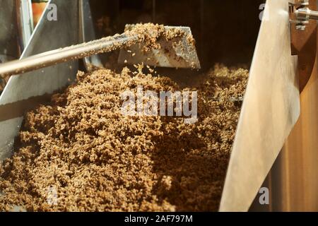 Close up of milled malt grains. Brewery process with fragmentation of malt at modern equipment. Concept of brewery.