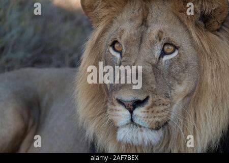 That look Stock Photo