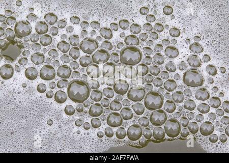 bubble patterns in a pond Stock Photo