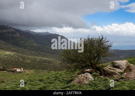 Meadow with a bush and a countryhouse in the background. Hill covered with wood. Blue sky and partly heavy rainy clouds in the spring. Sardinia, Italy Stock Photo