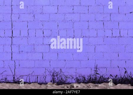 violet plaster rough brick wall texture under direct sunlight with snow and dry gasss under Stock Photo