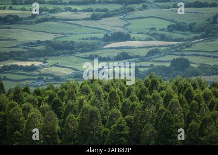 Green agricultural pattern of Faial Island, Azores, Portugal Stock Photo
