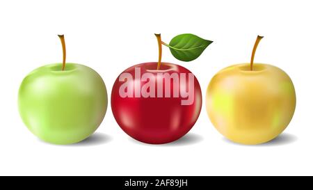 Three different color apples isolated on white background. Vector illustration Stock Vector