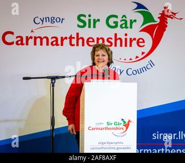 LLANELLI, WALES. 12 Dec 2019. Losing candidate Maria Carroll of the Labour Party speaking on the podium at the Carmarthenshire East & Dinefwr count being held at the Selwyn Samuel Centre in Llanelli. Photo copyright Matthew Lofthouse - Freelance Photographer. Credit: Matthew Lofthouse/Alamy Live News Stock Photo