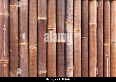 Background made from brown giant bamboo cane Stock Photo