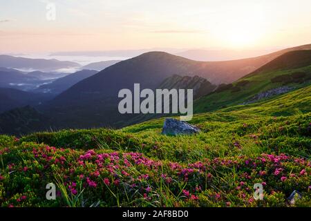 Wide view. Majestic Carpathian mountains. Beautiful landscape Stock Photo