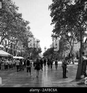 Monochrome image relating to the very popular Barcelona pedestrianised walkway namely Las Ramblas. Stock Photo