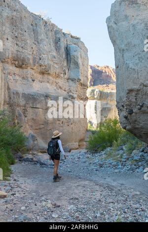 Hiking in Tuff Canyon, Big Bend National Park, Texas.