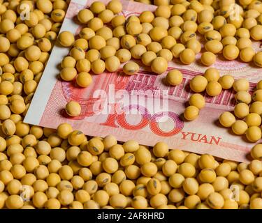 Chinese 100 yuan renminbi bill surround with soybeans. Concept of China and United States of America trade war, tariffs, and commodity market prices Stock Photo