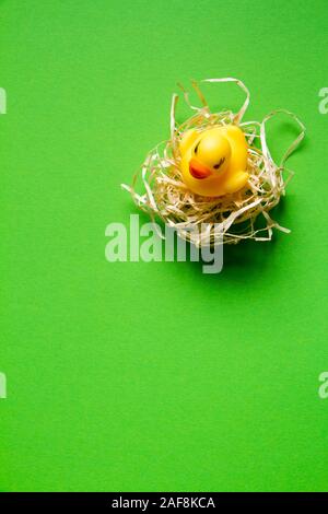 Top view of yellow rubber duck in a straw nest on a green background, minimalistic easter concept or background Stock Photo