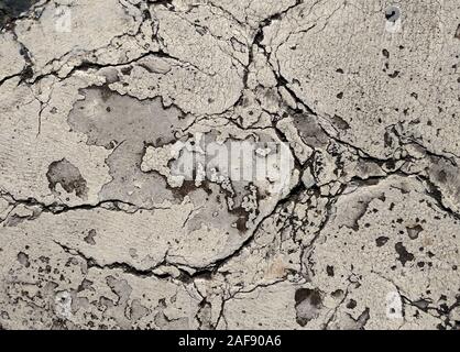 Cracks in the weathered white paint on the asphalt surface in an urban parking lot Stock Photo