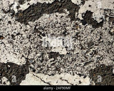 Cracks in the weathered white paint on the asphalt surface in an urban parking lot Stock Photo