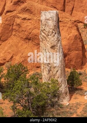 Spire in Grand Parade Trail area from Angel's Palace Trail, Kodachrome Basin State Park, Cannonville, Utah. Stock Photo