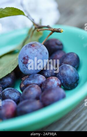 delicious fresh plums on a wooden table Stock Photo