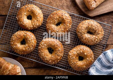 Freshly baked whole grain bagels cooling on a rack. Stock Photo