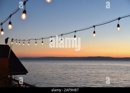 Great Blue Heron on shingled roof with hanging deck lights enjoying a sunset over the sea. Stock Photo