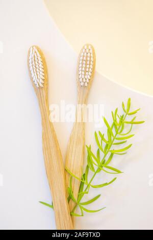 Two bamboo toothbrushes and a green branch Stock Photo