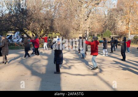 An early morning tai chi exercise class in the Jardin des Plantes in Paris Stock Photo