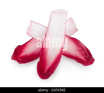 red chicory or radicchio leaves isolated on white background Stock Photo