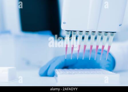 Lab assistant in gloves making scientific experiment with the help of big pipette Stock Photo