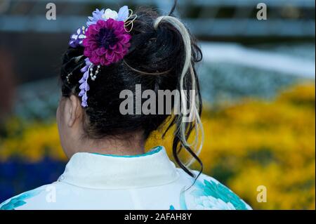 Beautiful Japanese teenager back wearing traditional kimono with close-up on hair ornament celebrating the Coming of Age Day in Fuji City, Japan. Back Stock Photo