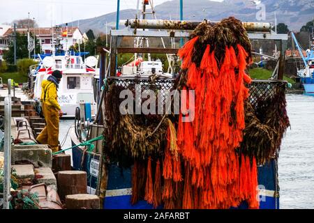 Unloading red algae, fishing harbor of Saint-Jean de Luz, Pyrénées-Atlantiques, France Unloading red algae, fishing harbor of Saint-Jean de Luz, Pyrénées-Atlantiques, France
