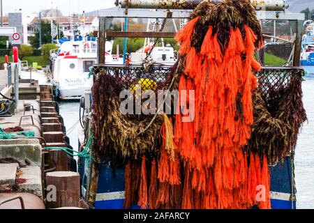 Unloading red algae, fishing harbor of Saint-Jean de Luz, Pyrénées-Atlantiques, France Unloading red algae, fishing harbor of Saint-Jean de Luz, Pyrénées-Atlantiques, France