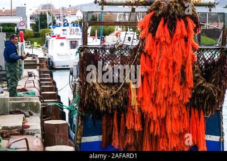 Unloading red algae, fishing harbor of Saint-Jean de Luz, Pyrénées-Atlantiques, France