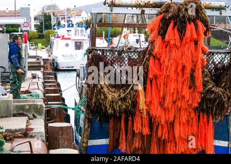 Unloading red algae, fishing harbor of Saint-Jean de Luz, Pyrénées-Atlantiques, France