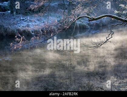 Mist rising on the River Derwent with hoar frost on the trees on a winter's day in the Lake District, Cumbria, England. Stock Photo