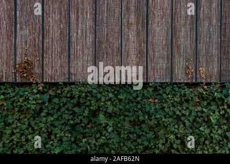 Minimalistic Abstract Background. Parts of Green Plant And Wooden Bamboo Planks. Wallpapers. Construction With Natural Materials. Place For Copy Space Stock Photo