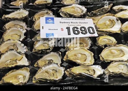 frische austern auf dem sydney fisch markt Stock Photo
