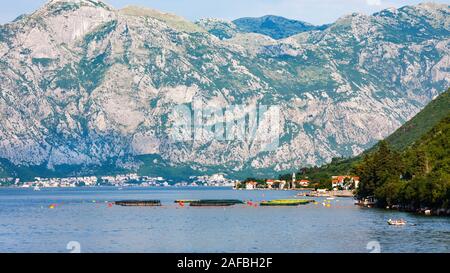 Oyster farms in Bay of Kotor against mountains and small town Perast, Montenegro Stock Photo