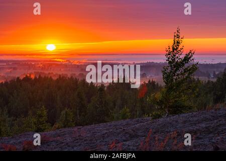 foggy flatland riverside at golden summer sunrise with lone tree on slope in foreground. Stock Photo