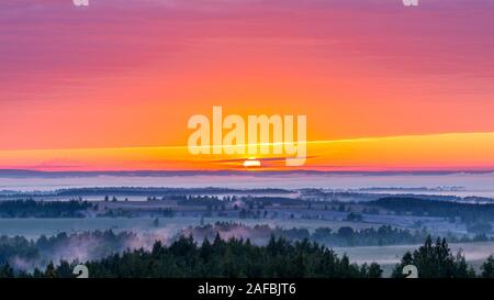 foggy flatland riverside at summer sunrise with trees in foreground - centered composition Stock Photo