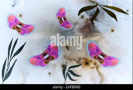 Abstract image of moths on a light background. Stock Photo